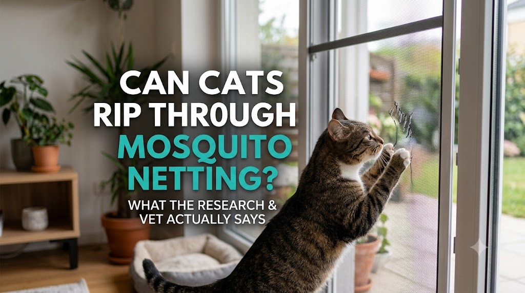 Cat climbing against mosquito netting, showing can cats rip through mosquito netting and pet-proof screen durability concerns.