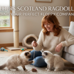 Cat Breeders Scotland Ragdoll Kittens