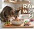 vet-approved recommendations of rawz vet cat food