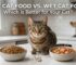 benefits of dry cat food vs wet cat food